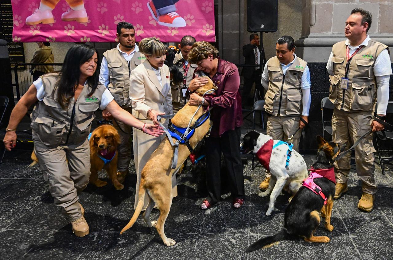 Ley de Protección, Cuidado y Bienestar Animal