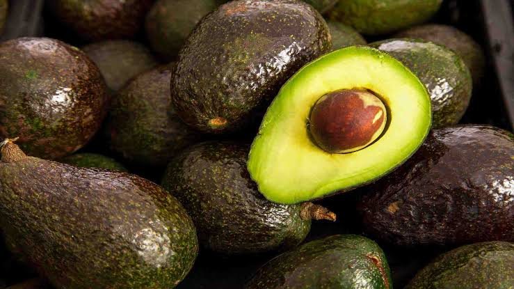 EU suspende temporalmente importación de aguacate mexicano tras amenazas a inspectores en Michoacán.