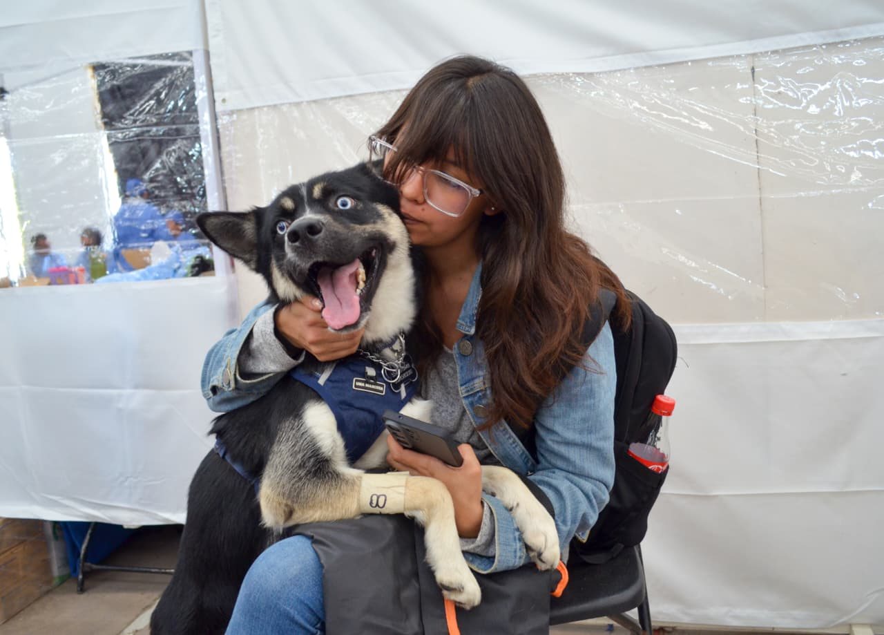 Realiza Gobierno de Delfina Gómez 300 esterilizaciones de michis y lomitos en la Zona Oriente
