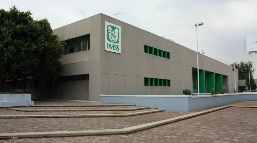 IMSS recomienda cuidar la salud ósea para prevenir osteoporosis 