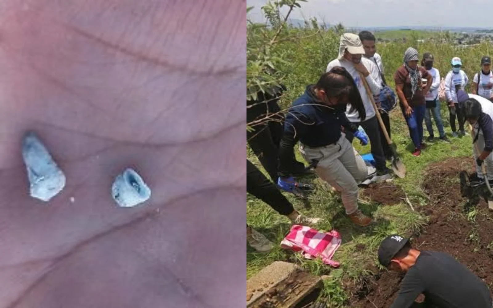 Hallan mil 600 dientes de leche en Zacapu; FGR mantiene investigación abierta