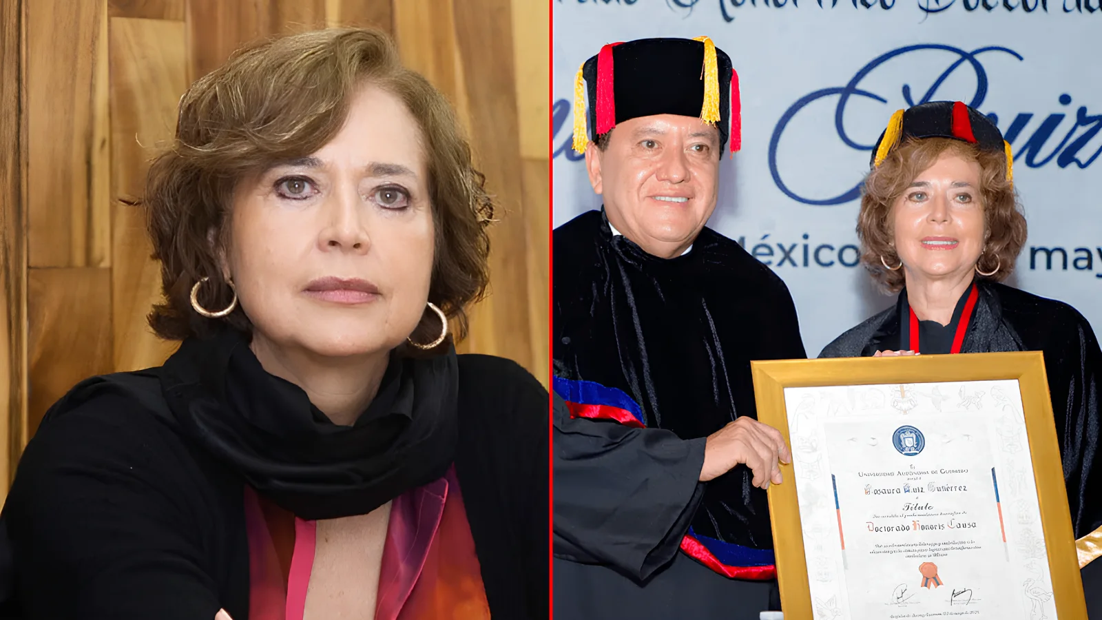 Avala el Consejo Directivo Universitario otorgar el Doctorado Honoris Causa a Rosaura Ruiz Gutiérrez