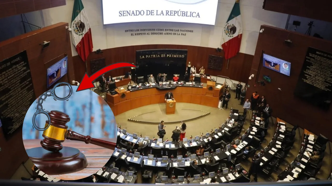 Sancionarán con cárcel y multas el uso ilícito de logotipos oficiales tras aprobación en el Senado