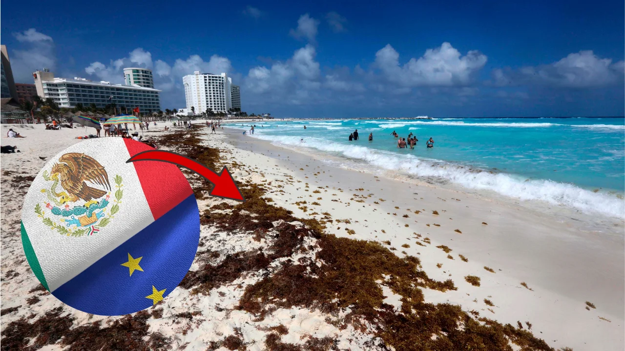 Presenta México Estrategia Nacional contra el Sargazo junto la Unión Europea 