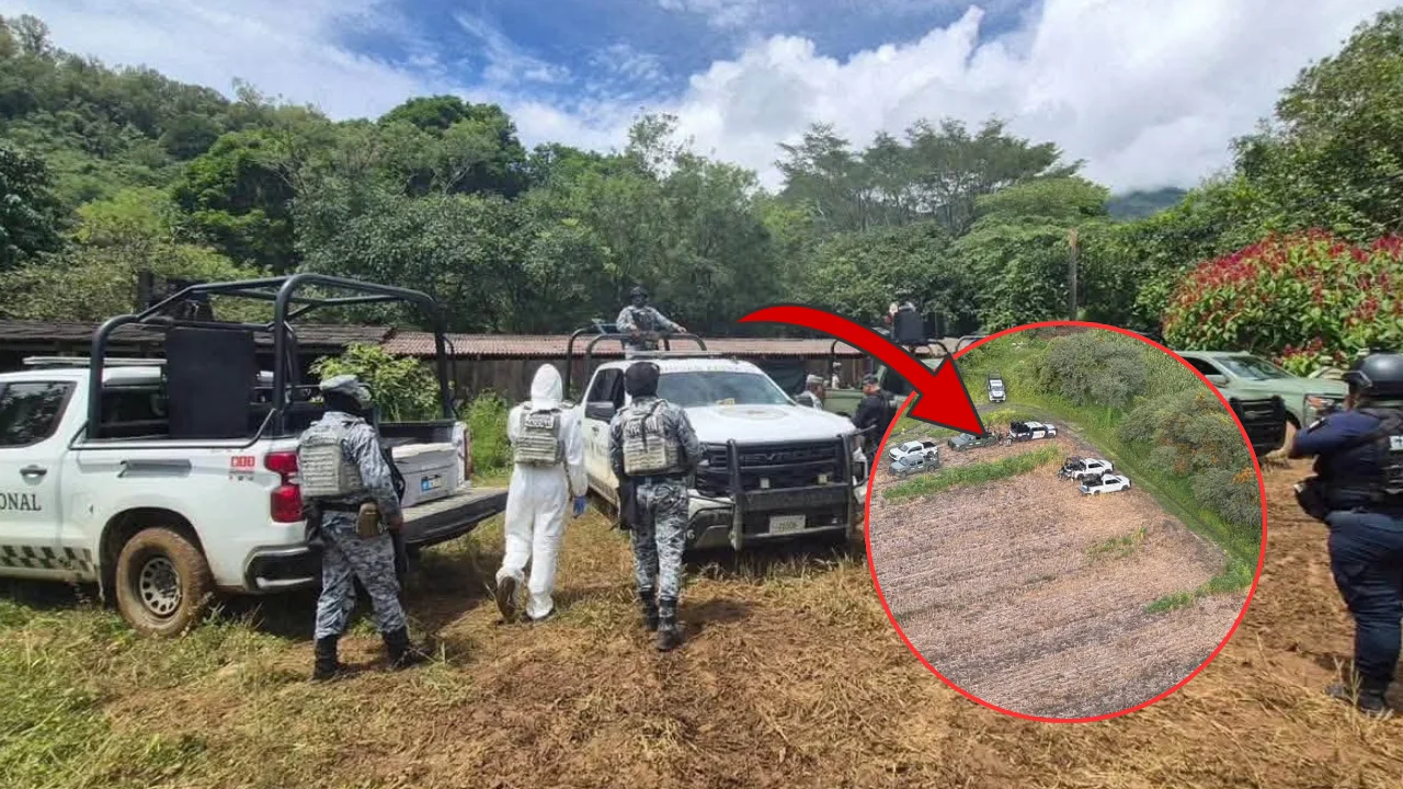 Aseguran arsenales, campamentos clandestinos y toneladas de droga en operativo federal en 8 estados