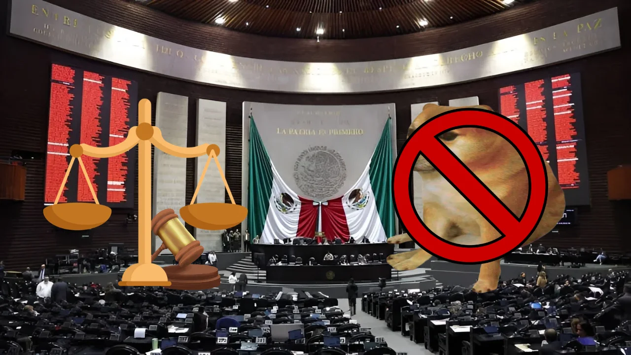 Aprueba la Cámara de Diputados reforma a la Ley de Derechos de Autor sobre plataformas digitales