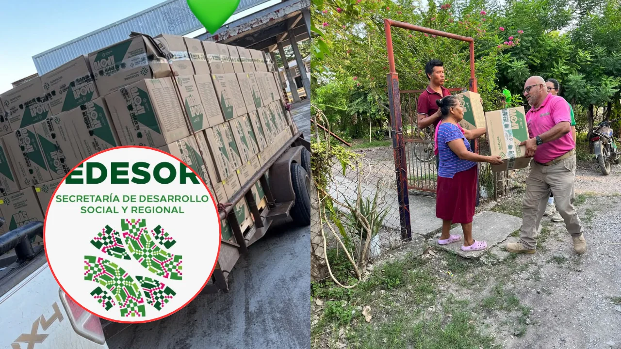 Alcanza programa de apoyos alimentarios en San Luis Potosí a 200 mil familias hacia una meta de 600 mil entregas en 2026